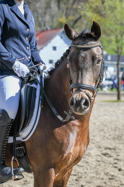 來是勝利的 來是勝利的