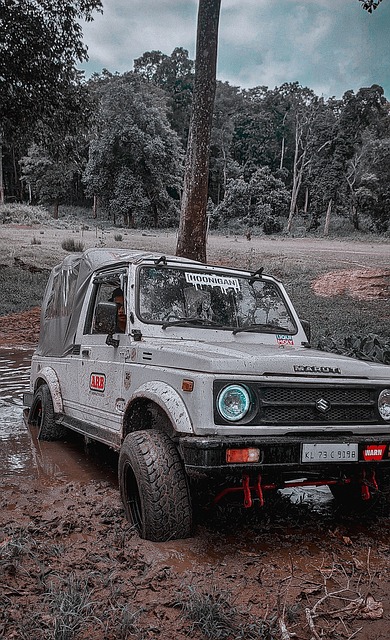 这种不协调 这种不协调