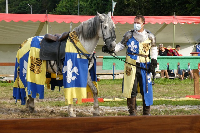 可能的战术 可能的战术