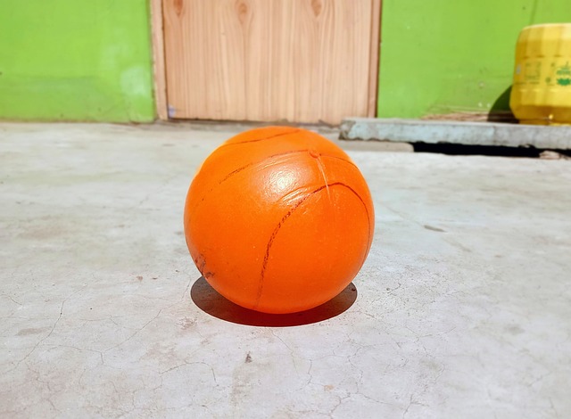 带来了新生 带来了新生