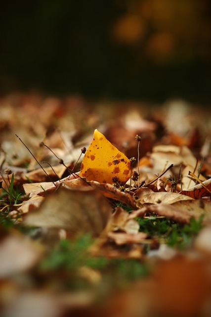 球队创造了 球队创造了