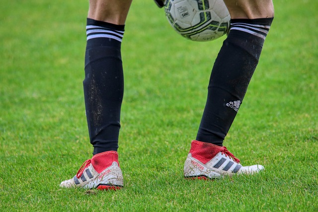 俱乐部的忠 俱乐部的忠