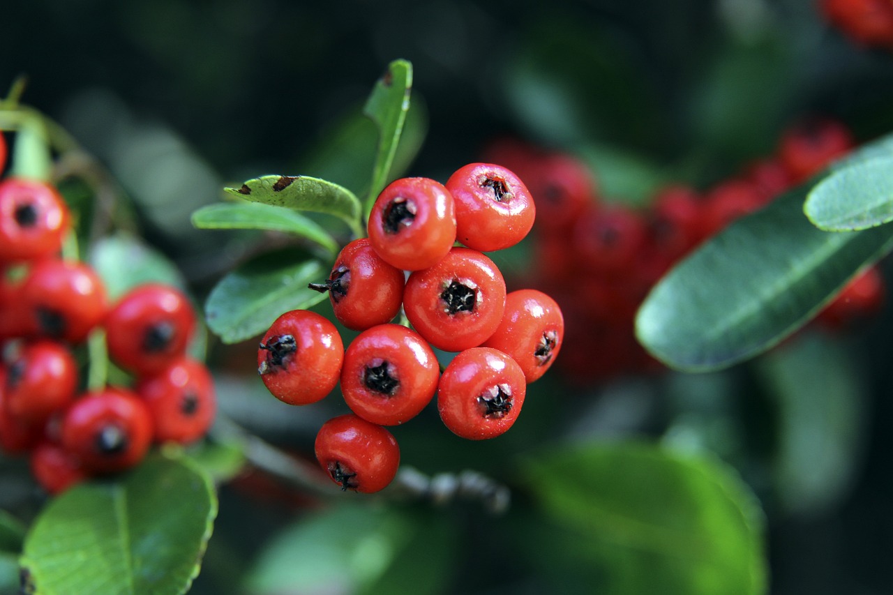 理的体能分 理的体能分