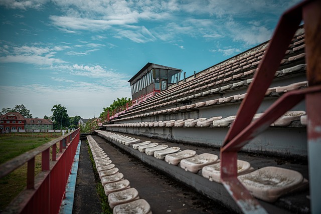未来战略上 未来战略上