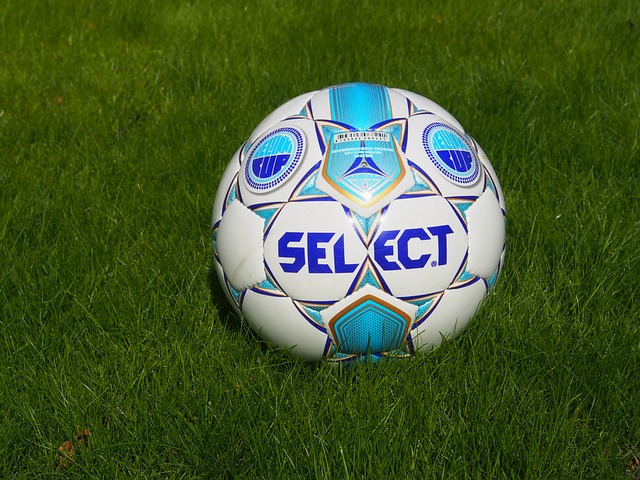 拥有国际经 拥有国际经