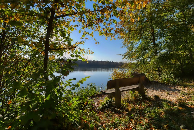 选择以集体 选择以集体