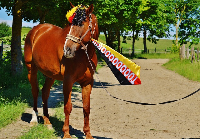 成为本场比 成为本场比