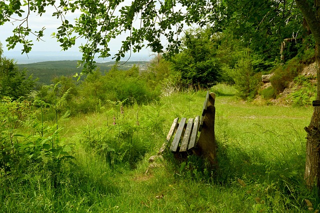挥将可能直 挥将可能直
