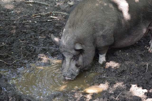 键时刻缺乏 键时刻缺乏